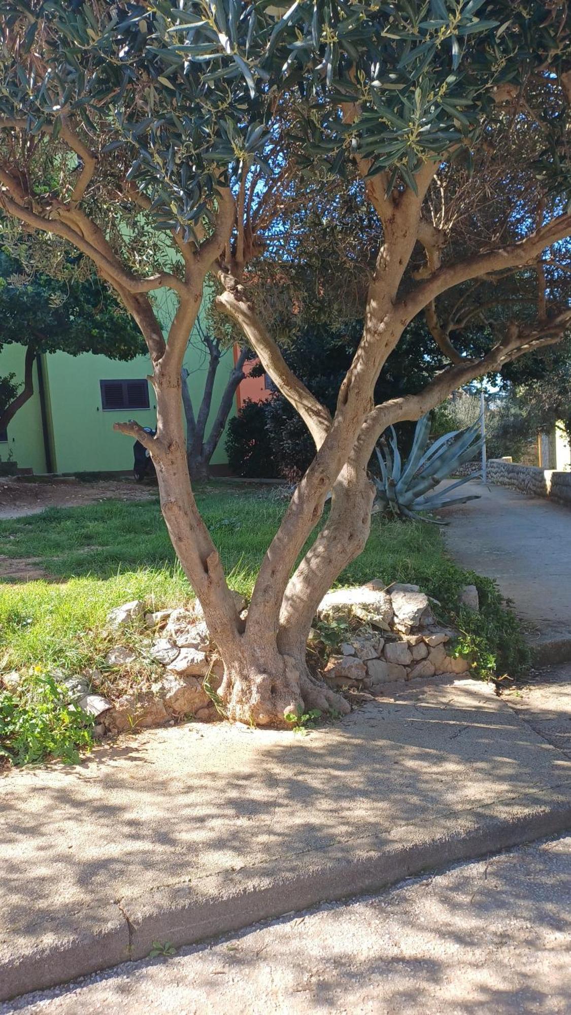 Dairos2 Apartamento Mali Lošinj Exterior foto